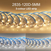 Tira de luces LED CCT, 5M, 2835, 5mm, 8mm, cc 5V, WW, CW, temperatura de Color, cinta Flexible ajustable, Fita - details 3