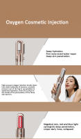 Uso doméstico, iones negativos ultrasónicos, Nano hidratación Facial, EMS, dispositivo de introducción de vibración de belleza, instrumento de inyección de oxígeno - details 6