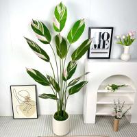 ETA para decoración del hogar, cerámica blanca plástico ETA, plantas, mesa de comedor nórdica decoración boda y dormitorio - details 8
