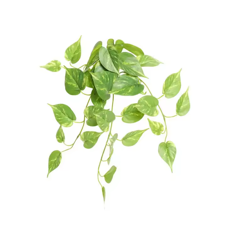 Planta Artificial verde, adorno de escritorio para pared, simulación de bonsái Aureum, pegamento suave, accesorios para fotos, enredaderas verdes simuladas - 1
