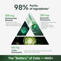 NR900 - Ribosido de nicotinamida liposomial, resveratrol y quercetina de Quitmood: suplemento de NAD de alta pureza para esquí - details 5