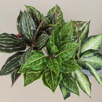 13 hojas artificiales de Scindapsus, elegantes y realistas hojas de plantas verdes falsas, plantas grandes de plástico simuladas - details 5