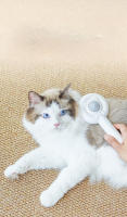 Peine de limpieza para mascotas, 2 en 1 - details 7