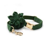 terciopelo verde pavo real grabado, conjunto correa de arnés perros personalizado, Collar ustable sin escape para mascotas con - details 11