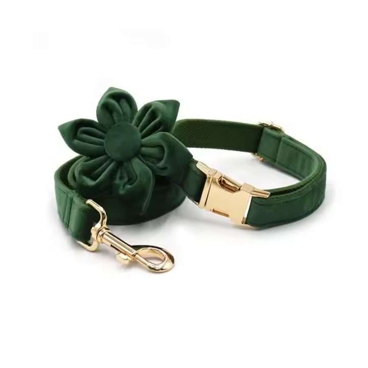 Terciopelo Verde Pavo real Grabado, Conjunto Correa de arnés Perros personalizado, Collar able sin escape para mascotas con - 1