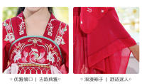 Hanfu primavera y otoño vestido elegante antiguo súper inmortal para niñas pequeñas falda de bata de estilo chino Tang para niños - details 1