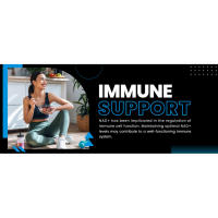 nad supplements