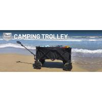 Timber Ridge Carro Playa