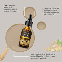 HOEGOA Esencia hidratante nutritiva para el cuidado del cuero cabelludo y brillo suave - details 6