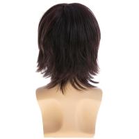 Pelucas sintéticas de longitud media para Cosplay para hombres, peluca de cola de lobo, pelucas de cabeza de salmonete Hippie para hombre, pelo largo marrón realista Natural para fiesta - details 1