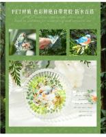 Pakete de Pegatinas de Tema de Pájaros 30 piezas Adhesivas para Scrapbooking, Diarios, Álbumes - details 5