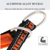 Truelove-Collar de nailon para mascotas, cadena P, ajustable, reflectante, SBR, Neopreno, resistente a tirones, a prueba de explosiones, viaje para perros y gatos, TLC5371 - details 4