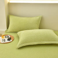 Bonenjoy-funda de almohada de terciopelo cálido, Fundas de cojín de Color sólido, 2 piezas, rectangular, 48x74cm - details 11