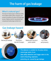 Doodle Smart WiFi Detector de Gas Alarma Inalámbrica de Fugas de Gas Combustible, Sensor de Alta Precisión, Monitoreo Remoto de Enlace Inteligente, Seguridad en la Cocina - details 2