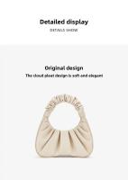 JW PEI cloud GABBL bolso de mano de alta gama con el mismo diseño de nicho bolso de mujer plisado Mochila de lujo de alta gama - details 1