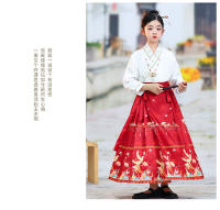 Falda con cara de caballo para niña, conjunto Hanfu, nuevo estilo Ming Tang de primavera para niños grandes, disfraz antiguo de estilo chino - details 10
