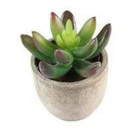 Plantas Suculentas Realistas Mini Jardines Nsai para Decoración del Hogar, Balcón, Oficina - details 2