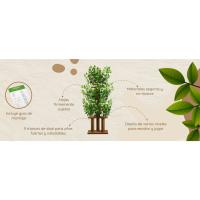 Árbol rascador con hojas compacto y estable para gatos grandes – 4 niveles para escalar, rascar y descansar – Hojas seguras – Fácil montaje – Materiales resistentes y aptos para mascotas – 160CM - details 1