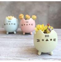 ETA i ued para un agujero de planta jugoso, macizo de flores con un hermoso animal, lindo gato, decoración de jardín, bonai ETA, cumpleaños - details 3