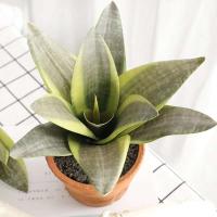 Plantas artificiales para decoración del jardín del hogar, rama de Sanseviria de plástico, bonsái DIY, plantas falsas para exteriores - details 9