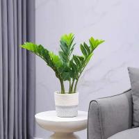 La decoración del hogar de 51 pulgadas incluye plantas, grandes ramas de plantas artificiales, láminas de plástico falsas y árboles de banyan verdes en los dormitorios. - details 1