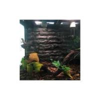 Simulación de vid marina de plástico de ramas de escalada de jungla, rama de esquina Flexible para reptiles, lagarto, decoración de acuario - details 5