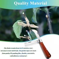 Cuchillo plegable profesional para injerto de árboles, mango de madera para injerto de frutas - details 6