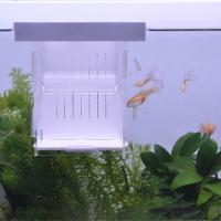 Caja de aislamiento de peces de acrílico, transparente, desmontable, flotante, para incubar pecera - details 0