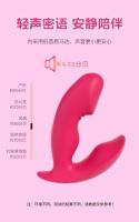 Juguetes sexuales, teléfonos móviles, control remoto inalámbrico remoto, saltar huevos, salir a entrenar, usar dispositivos de autodefensa femeninos, electrodomésticos sexuales, juguetes sexuales para adultos - details 12