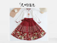 Conjunto de Falda Hanfu para Niñas Otoño 2025 Traje de Estilo Chino Antiguo para Actuaciones de Recitación Zapatos y Ropa - details 40