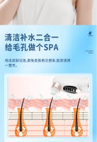 Herramienta de Cuidado de la Piel Facial de Belleza Burbuja Pequeña, Oxígeno Transfronterizo, Exfoliante de Poros, Inyección de Belleza, Limpieza Eléctrica Doméstica - details 11