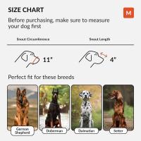 CollarDirect Bozal para Pastor Alemán Dálmata Doberman Setter Cesta de Cuero Razas Medianas Grandes Negro Marrón (M, Castaño - details 1