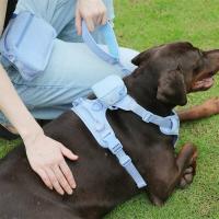 Correa de Dispensación de Perros Personalizada Correa Sin Correas Estable con Saco de Crap y Bolsa de Paseo Suministros para Mascotas - details 23