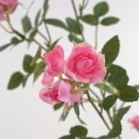 Rama de flor de Rosa Artificial de 65cm, flor de Rosa de imitación de plástico de tacto Real, flores falsas elegantes hechas a mano, decoración para el hogar y la Oficina - details 12