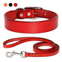 genuino mascotas pequeños, medianos grandes, Collar cuero duradero ustable para perros y cachorros, conjunto de correas XS-XL - details 1