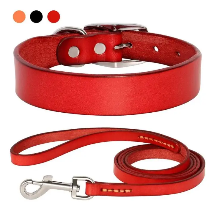 genuino mascotas pequeños, medianos grandes, Collar cuero duradero ustable para perros y cachorros, conjunto de correas XS-XL - 1