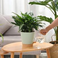 Planta de interior y exterior riego automático flor de alto drenaje ETA, con bandeja de almacenamiento, 7 pulgadas, 3 paquetes - details 6