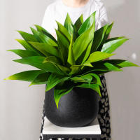 Plantas artificiales grandes, árbol de Agave falso, Hojas suculentas de plástico para exteriores, hoja de Yucca falsa para decoración de fiesta de boda en casa - details 5