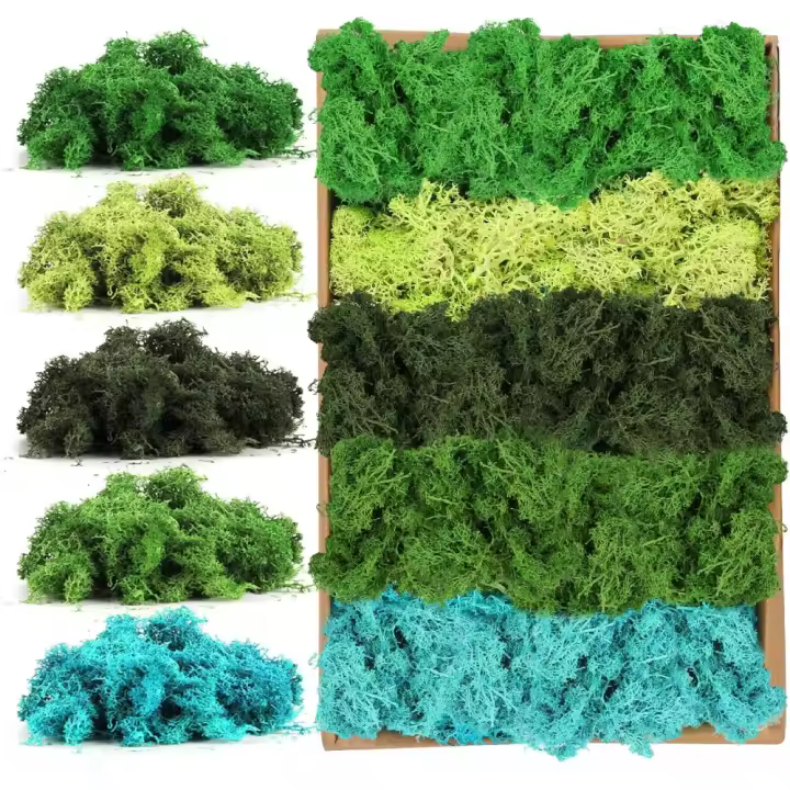 Decoración de Musgo Artificial 200g Musgo Conservado para Adornos Florales, Jardines de Hadas, Manualidades (5 Colores) - 1