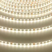 Tira de luces LED 24V 2835 5m 10m RA98 cinta Flexible a rayas de alto brillo 120LED 2700K 3000K 3500K 4000K 5000K 6000K iluminación del hogar - details 14