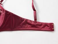 Conjunto De Sujetador Y Bragas Para Mujer En Talla Grande Con Borde De Encaje Brillante Sexy Muy Ajustado Con Anillo De Acero Suave Soporte Para Pechos Grandes - details 11