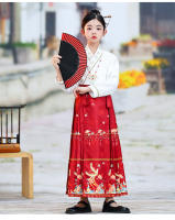 Falda con cara de caballo para niña, conjunto Hanfu, nuevo estilo Ming Tang de primavera para niños grandes, disfraz antiguo de estilo chino - details 13
