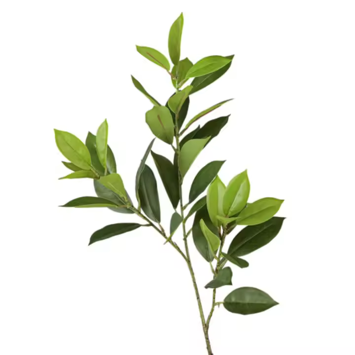 Grandes ramas artificiales de Fagraea, ramas realistas hechas a mano de Pachira, elegante, tacto Real, Ilex Chinensis Artificial - 1