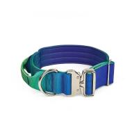 Juego Collar correa perro nailon resistente, cuerda entrenamiento mascotas ustable sin tirar con cierre Metal para caminatas de - details 6