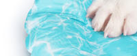 Nobleza - Alfombra Refrescante para Perros, Cama Perro Fria, Manta Refrescante para Mascotas Pequeños y Medianos, Gatos en Verano, Auto Refrigerante, No tóxico, Orbicular - details 4