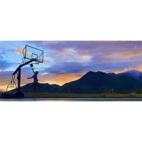 Canasta de baloncesto exterior, altura ajustable de 6 niveles, 1,76 a 2,06 m, móvil con ruedas, aro de baloncesto para niños y adultos, interior y exterior - details 0