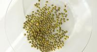 Mung Bean Extract Ingredient