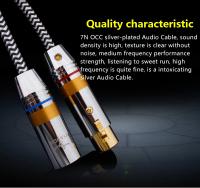 YYAUDIO 1 par de alta calidad OCC OFC Chapado en plata y cobre Xlr Cable de Audio equilibrado 3 pines 2 XLR Cable de Audio macho a hembra - details 12