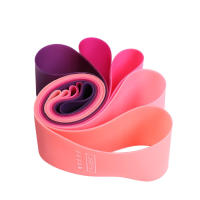 Gimnasio con Bandas Elásticas Equipo de Entrenamiento Fiess Resistencia de Yoga Banda de Ejercicio Volumen de Entrenamiento Gimnasio Rutina de Ejercicio Culturista Pilates - details 2