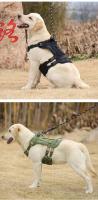 Perro táctico con correa de asa, accesorio militar para caminar perros Rottweiler, arnés para cachorros medianos y grandes - details 15